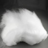 SGS Certified Quick Dry Synthetic Staple Fiber Semi Dull