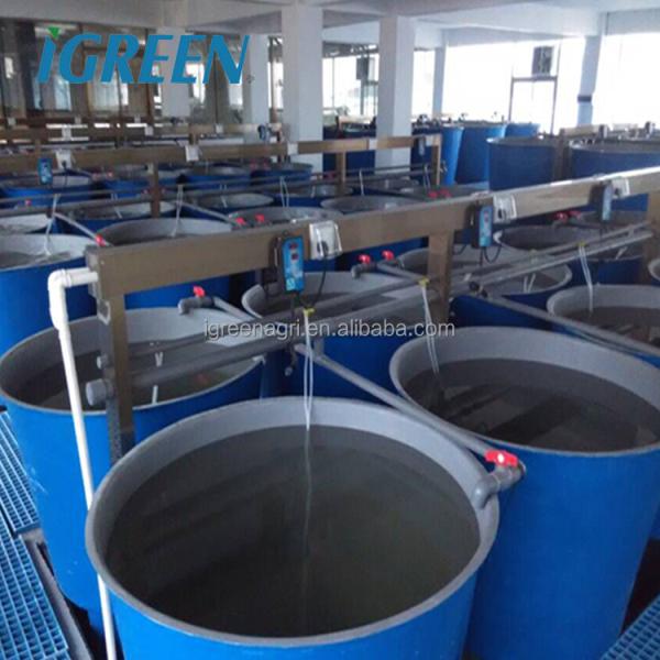 Indoor Fish & Shrimp Recirculating Aquaculture System IGreen IGRAS Model 15-300cbm/h Capacity