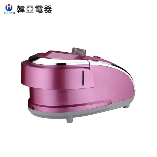 Handheld Mini Clothes Steamer Purple Colour Stainless Steel Panel With Hanger