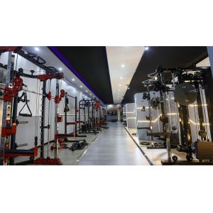 Shandong Freeman Fitness Equipment Co., Ltd.