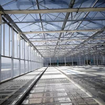 Strong Structure Galvanized Venlo Type Greenhouse Commerical Green House