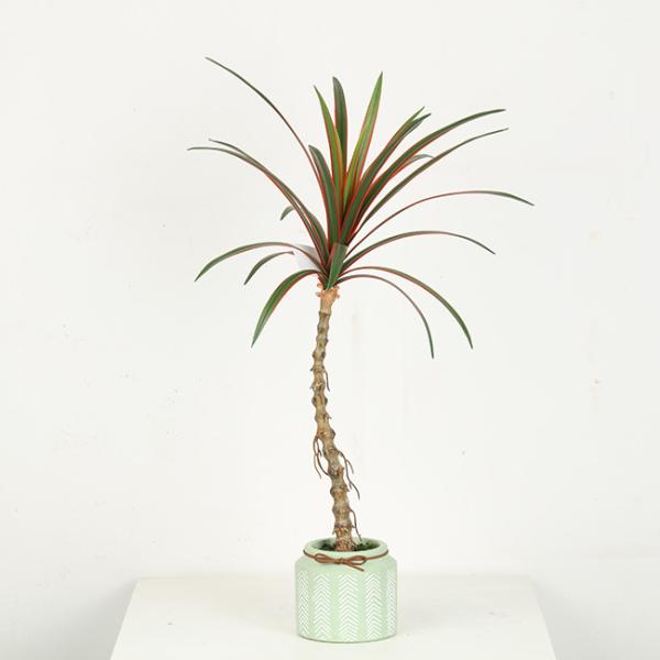 43 CM 54 CM Artificial Dragon Artificial Bonsai Plants Decoration And Landscape