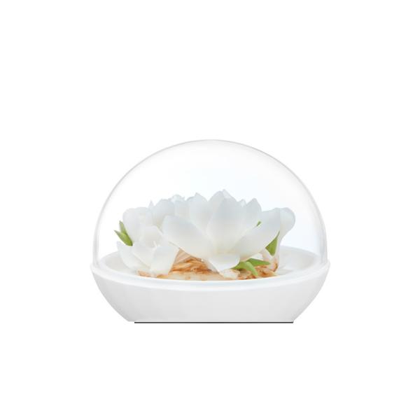 Customized Hand Made Ceramic Candle Holder For Home Fragrance AS GIFT WITH DIFFERENT FLOWERS
