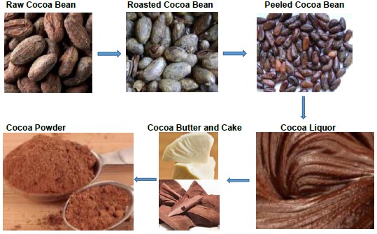 Cocoa Butter Production Line for Food Industry 304 Stainless Steel Cocoa Processing Equipment