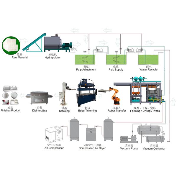 Smart Disposable Paper Pulp Molding Food Tray Producing Machine With Two Robot Arms