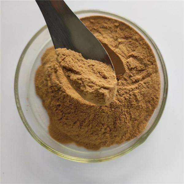 Anti-inflammatory Cortex Phellodendri Extract