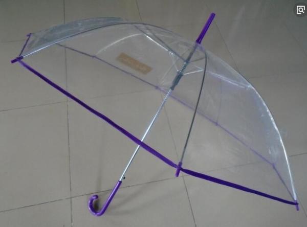 Womens Collapsible Dome Umbrella Clear POE Canopy Water Repellent Purple Edge