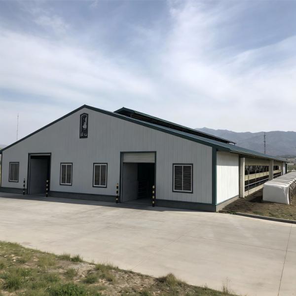 Hot-Dip Galvanized Customizable Multi-Bay Steel Structure Cow Barn for Commercial Ranch Beef Cattle Fattening
