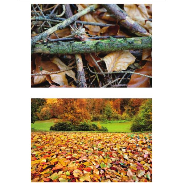 Электрическая кудель вакуума лист за воздуходувкой 180 галлонов с раскрывая раковиной