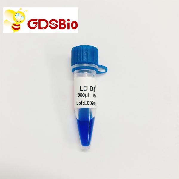 10000bp 10kb DNA Ladder Electrophoresis High Purity Reagents