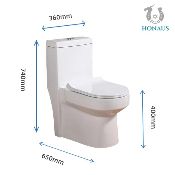 Canadian Single Piece Wall Mounted Commode One Piece Wc 650*360*740mm