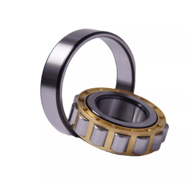 NJ321 NJ322 NJ324 Cylindrical Roller Bearing 120x260x55mm Engine Camshaft Bearing