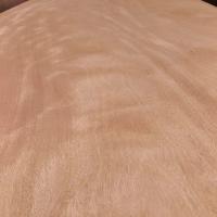 2440*1220 Peça inteira Gabão Okume faceta de madeira 0.2mm - 0.4mm Para Fabrica de Painéis Fantásticos