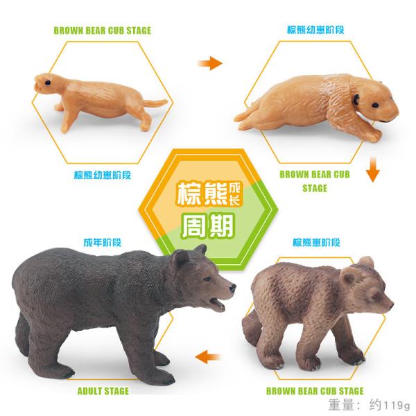Brown Bear Life Cycle Figure Model Toy For Boys Girls Kids