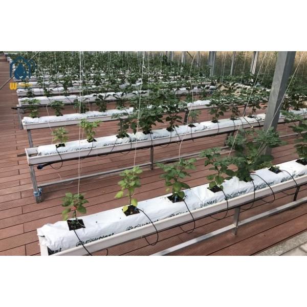 Commercial Gutter Growing System Food Grade Plastic Tomato Growing Trough