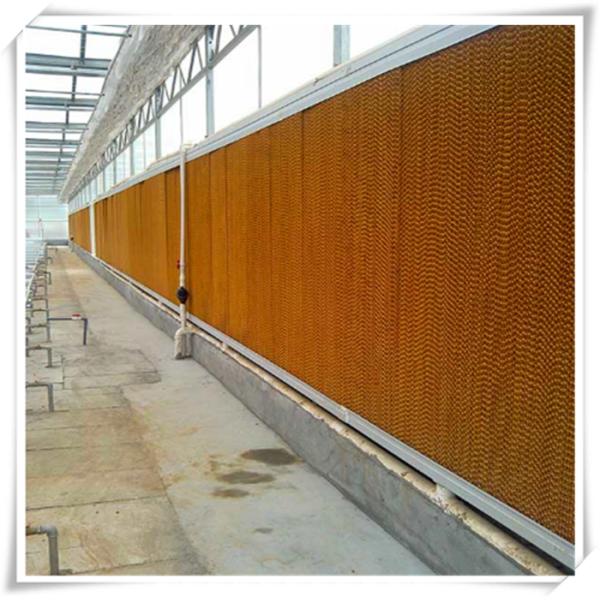 Большая стеклянная теплица с горячим оцинкованным скелетом и системой управления