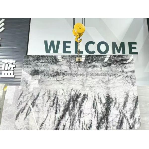 Italian Natural Stone Silver Fir Black Grey Look Marble Textured Slab for Home Wall Panel