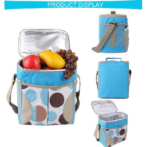 Изоляция перемещения Оксфорда может заморозить сумку крутого пикника обеда более крутую