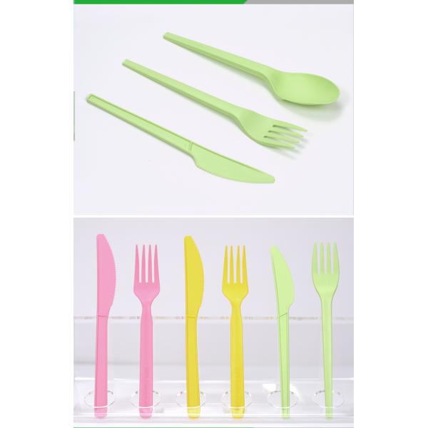Plastic PLA Biodegradable Disposable Cutlery Bagasse Eco Friendly Disposable Flatware