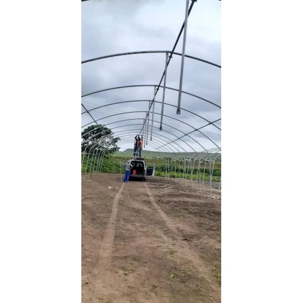 2.5-5M Height Tomato Hydroponic High Tunnel Agriculture Greenhouse with Film Cover