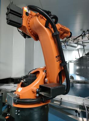 Palletizing Industrial Robot Cell com 6 eixos e 0,06 mm Repetitividade 700 ciclos/hora
