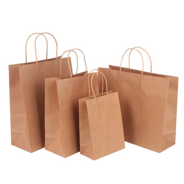 Industrial Gift Craft Custom Printed Shopping Paper Bags with Cotton Rope Handle