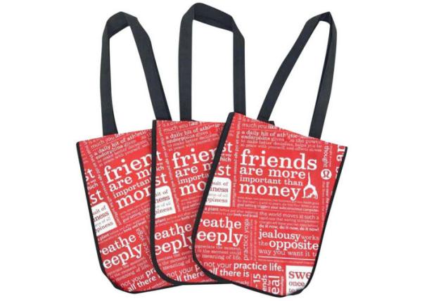 Eco Friendly Laminated Non Woven Bag For Shopping / Picnic / Travelling