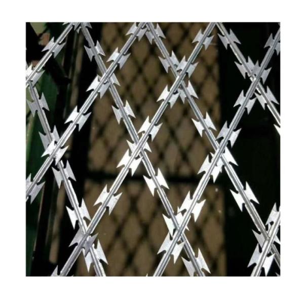 Hot Dip Galvanized Barbed Razor Wire Fence with Customizable Height and