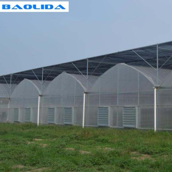 Крупноразмерный Multi парник пяди/коммерчески крышка листа парника фильма pe