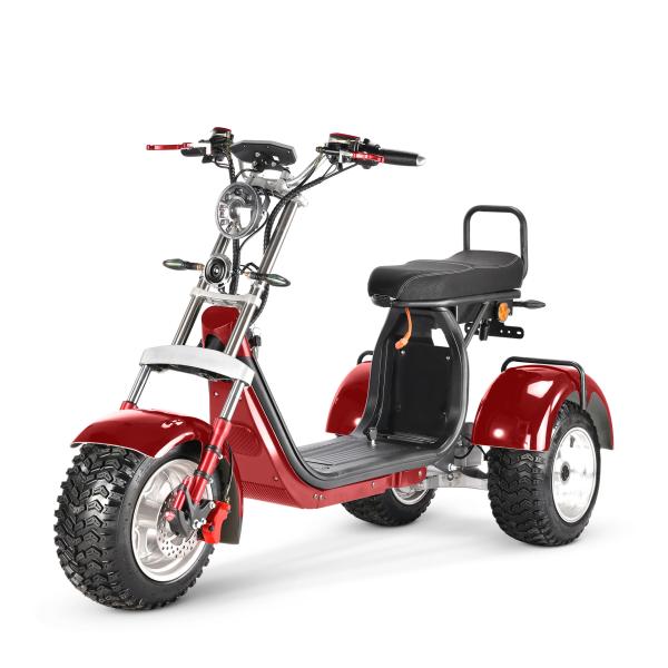 60V Electric Motocross Dirtbike Electric Tricycle with 2000W Power and Lithium Battery
