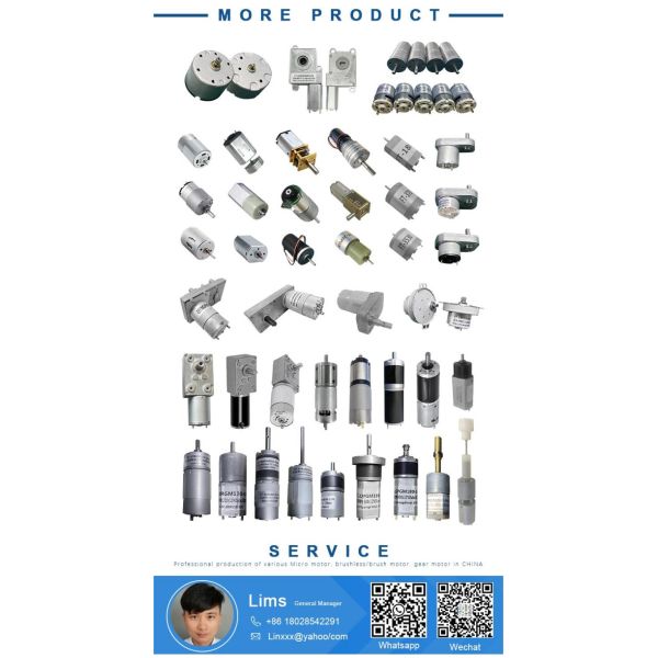 Customized FT-36PGM555 12V24V  High Torque  2-1200RPM Planetary  Gear Motors for Electric Cleaning Brush