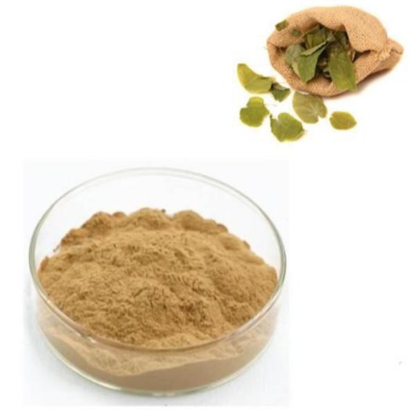 Feed Grade Icariin Epimedium P.E. Plant Extracted Powder For Animal Healthy