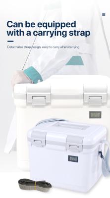 Phefon Portable 6L Hard Cooler with Comfortable Handle Design
