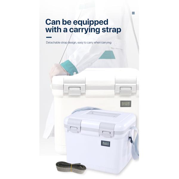 Phefon Portable 6Liters Hard Cooler Box With Temperature Display