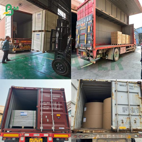 Degradable Waterproof Mango Fruit Protection Bag 56g Sunproof Coated Wax Paper Roll