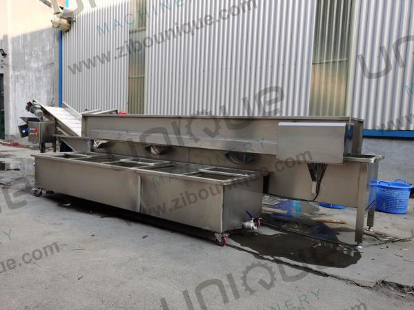 Design Alfalfa / Micro Greens Vegetable Bubble Washing Machine for Food Beverage Shops
