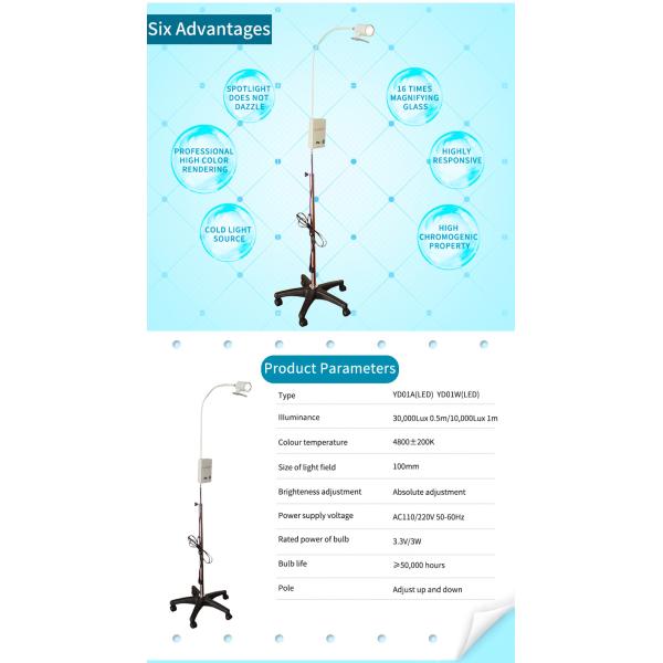 Wall Mounted Medical Led Surgical Lights / Aluminium Alloy Dental Exam Light