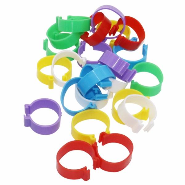 Dove / Spiral Leg Rings , Plastic Chicken / Pigeon Clip Rings Inner Diameter 25mm
