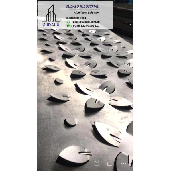 SUDALU OEM Perforated Curvel Panel Outdoor/ Interior Artistic Aluminum Panel Design for Facade Cladding