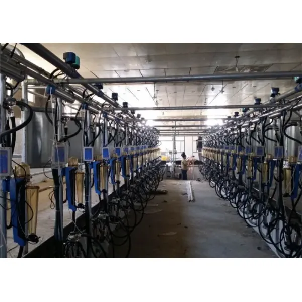 Milk Flow Meter Herring Bone Milking Parlor System CE ISO SGS FDA Certified Mobile Milking Machine