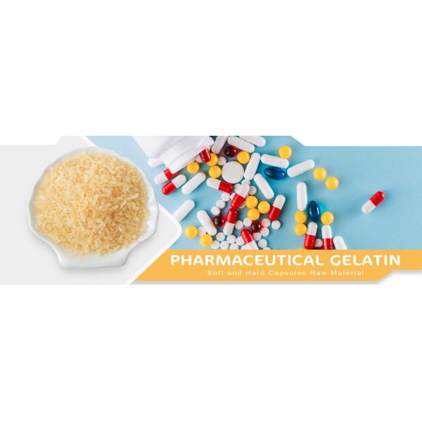 Capsules souples Géline pharmaceutique 130 Bloom 140 Bloom 150 Bloom Géline Halal