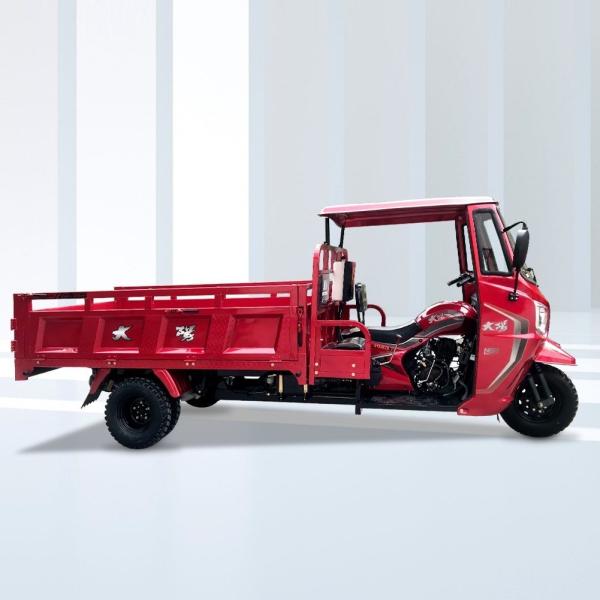 DAYANG Best Safety and Popular 3 Wheel Motorized Tricycles with Five Wheels 12V Voltage