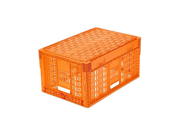PP Transfer Vented Mesh Collapsible Plastic Vegetable Box for Easy Logistic Handling