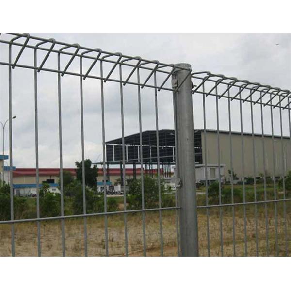 Сваренный поливиниловый хлорид BRC свертывает верхнее ограждая 50×100
