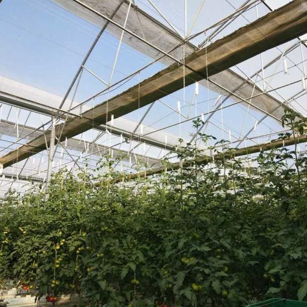 12x20 12 X 8 12 X 6  Polycarbonate Greenhouse With Cooling System And Heating System Roof Film Side