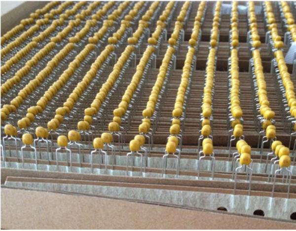 MLCC Monolithic Ceramic Capacitor 224 220nF 50V Pitch 5.08mm +/-20%