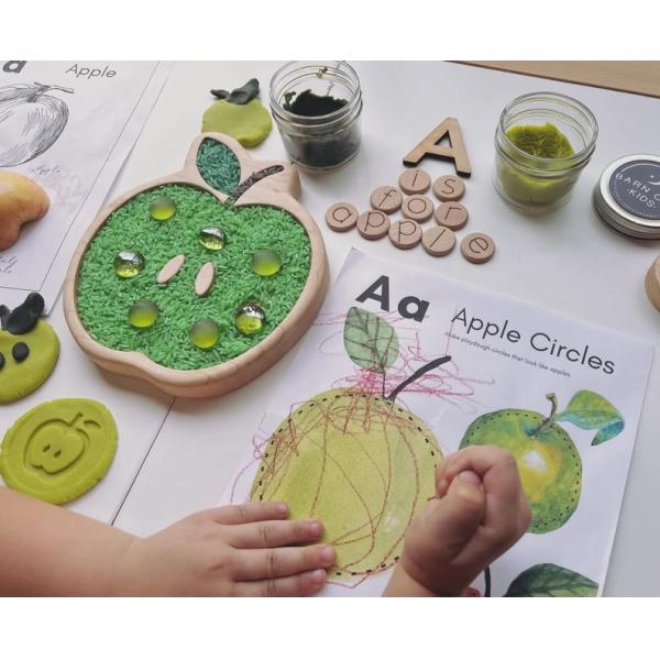 Capacitación de la lección en casa Placa de juegos de mesa Juguete de primavera Montessori Semilla Naturaleza Ciclo de vida de la fruta