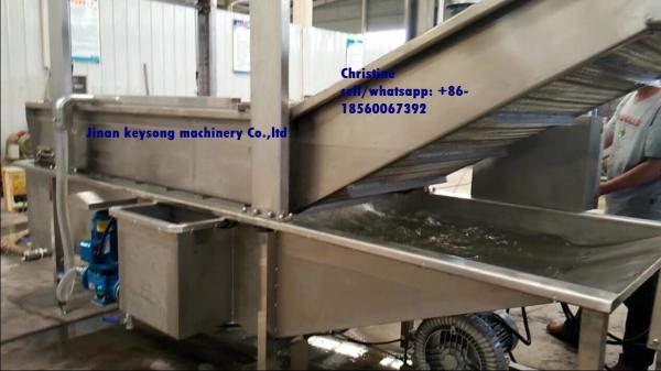 Fresh Fruit And Vegetable Processing Machinery Cleaning Equipment High Efficiency