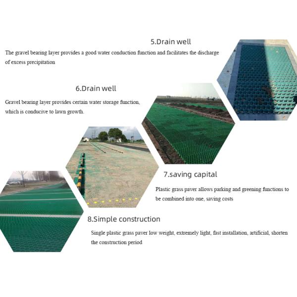 HDPE Plastic Protection Parking Lots Material Plastic Grass Paver for Origin Type