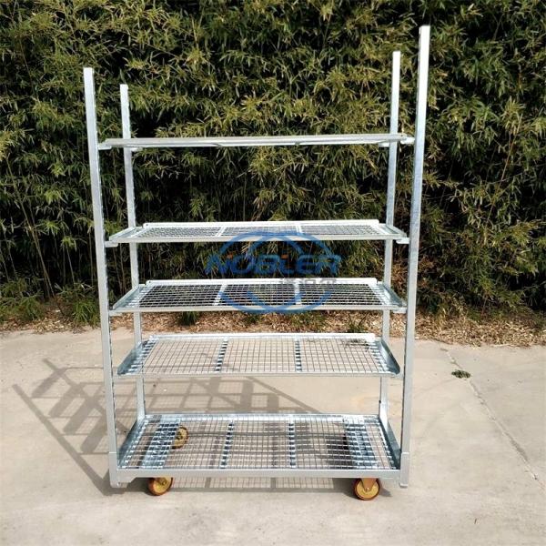 Trolley néerlandais trolley danois cc porte-conteneurs porte-bouteilles chariot de transport